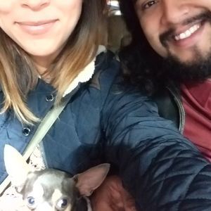 Meet your Posher, Joe